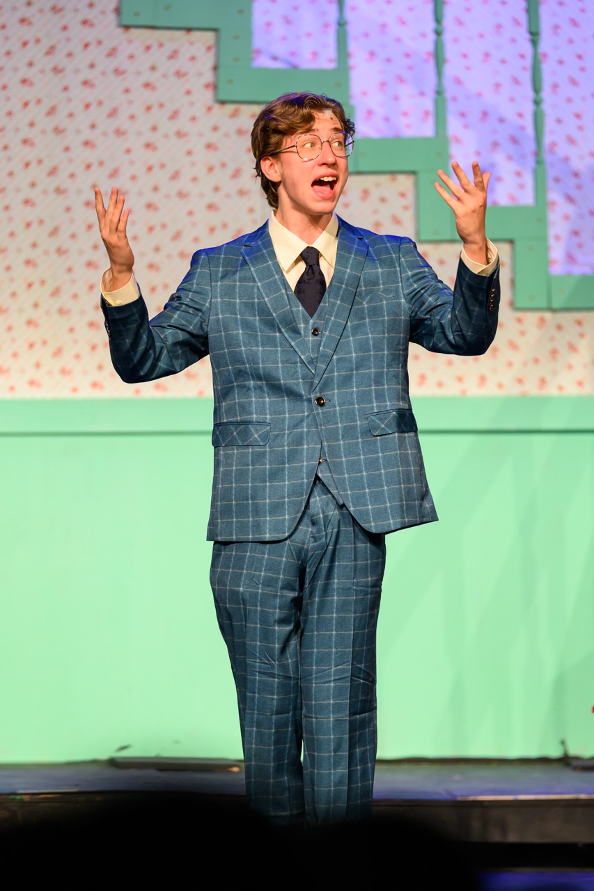 Bye Bye Birdie — production photo